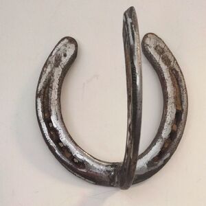 Rustic Horseshoe Wall Hook